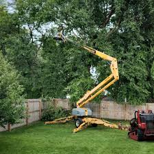 Best Hedge Trimming  in Somerville, TX