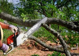 Best Aeration Services  in Somerville, TX
